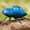 NuBeetle's Avatar