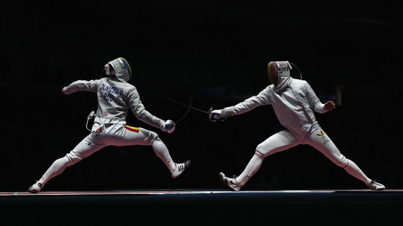 Name:  Fencing.jpg
Views: 682
Size:  35.2 KB