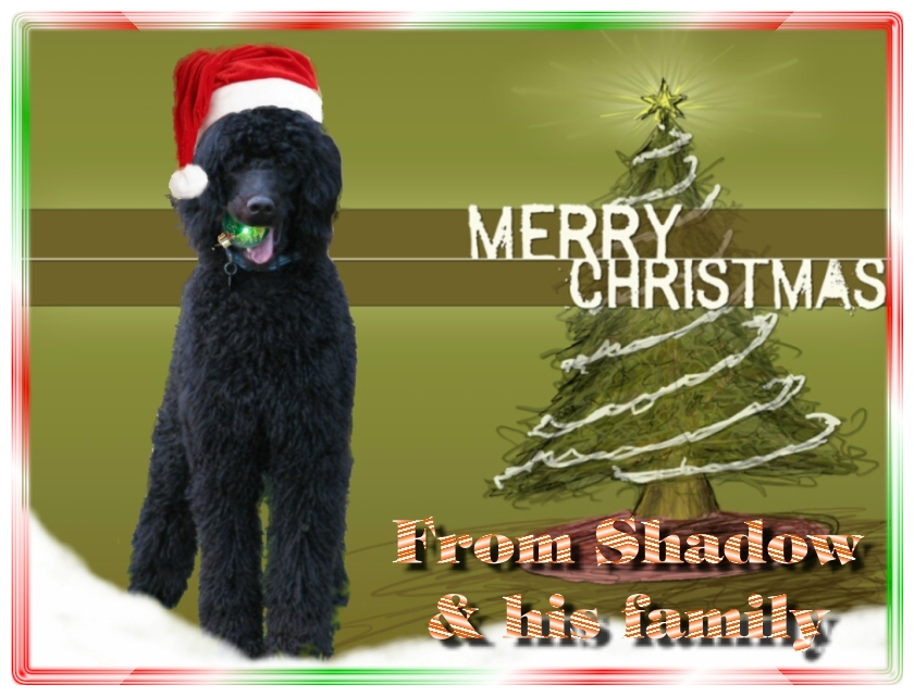 Name:  shadow-christmas-card-3.jpg
Views: 34861
Size:  291.5 KB