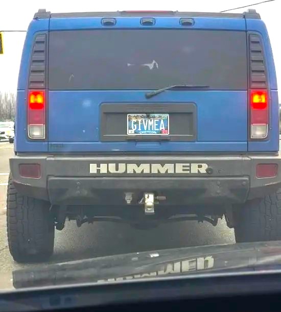Name:  Hummer..jpg
Views: 521
Size:  54.6 KB
