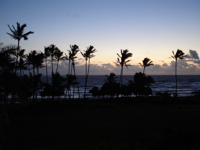 Name:  Kauai,Hawaii 060.jpg
Views: 673
Size:  118.0 KB