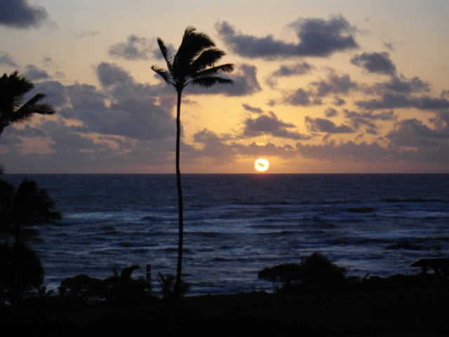 Name:  Kauai,Hawaii 082.jpg
Views: 569
Size:  140.0 KB