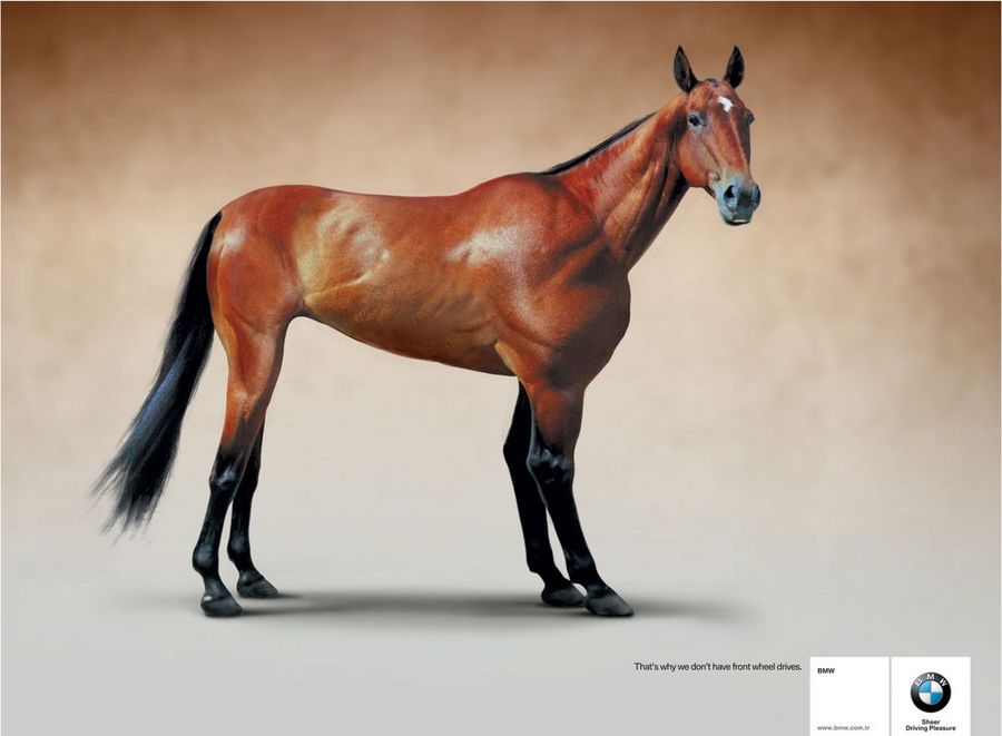 Name:  horse.jpg
Views: 4978
Size:  47.7 KB