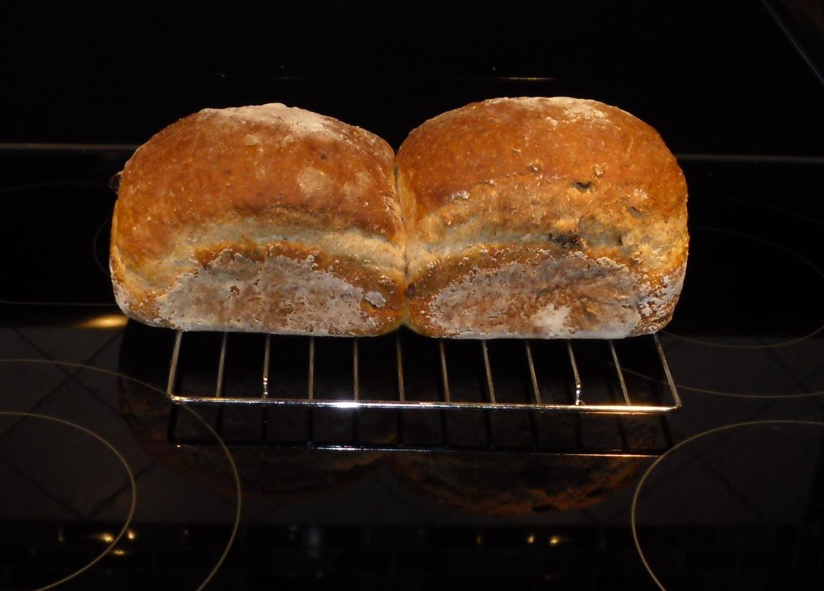 Name:  Bread..jpg
Views: 21
Size:  94.9 KB