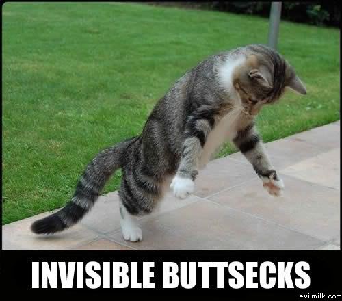 Name:  Invisible_buttsecks.jpg
Views: 23443
Size:  35.0 KB