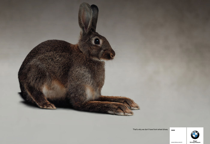 Name:  bmwrabbit-small.jpg
Views: 17294
Size:  68.9 KB