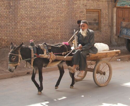 Name:  bigchina.1117263240.kashgar_-_donkey_cart.jpg
Views: 304
Size:  39.2 KB