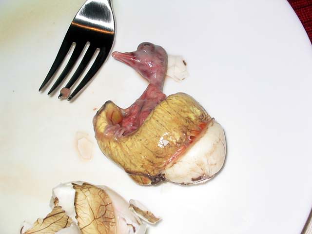 Name:  balut.jpg
Views: 1154
Size:  31.7 KB