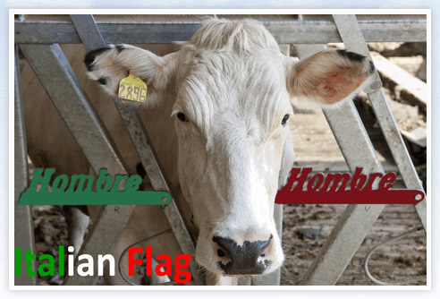 Name:  italian-flag.jpg
Views: 5820
Size:  55.5 KB
