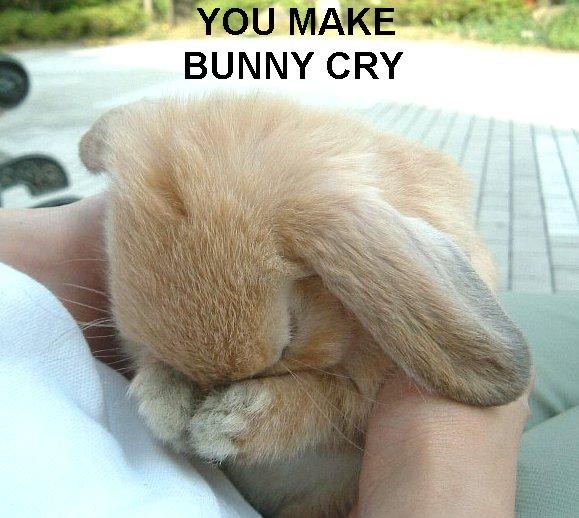 Name:  you-make-bunny-cry.jpg
Views: 697
Size:  63.8 KB