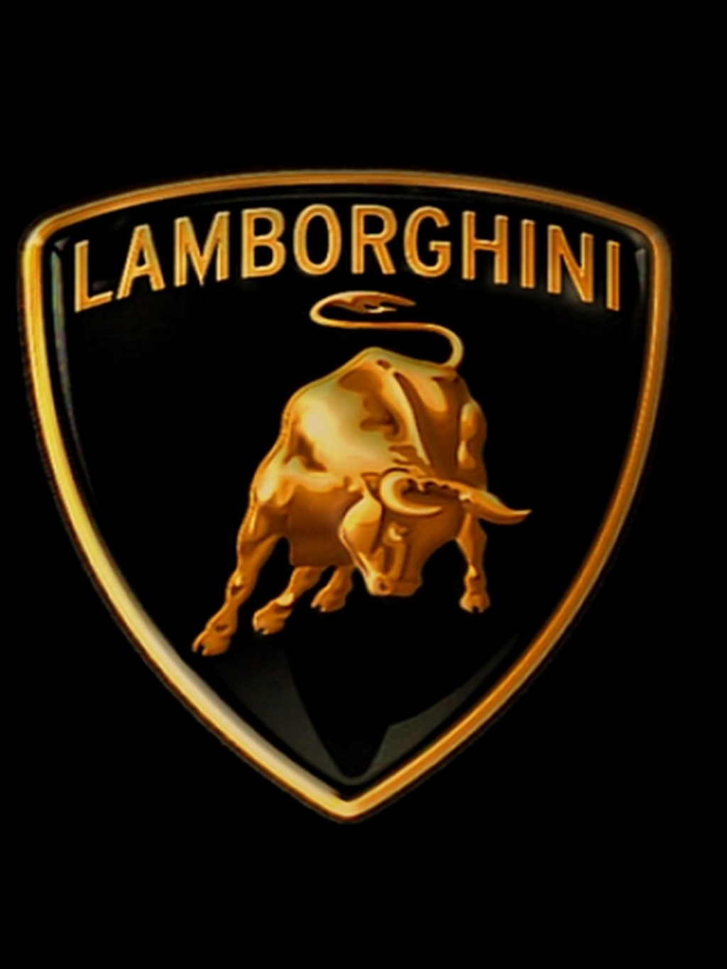 Name:  Lamborghini-Bull.jpg
Views: 13375
Size:  95.3 KB